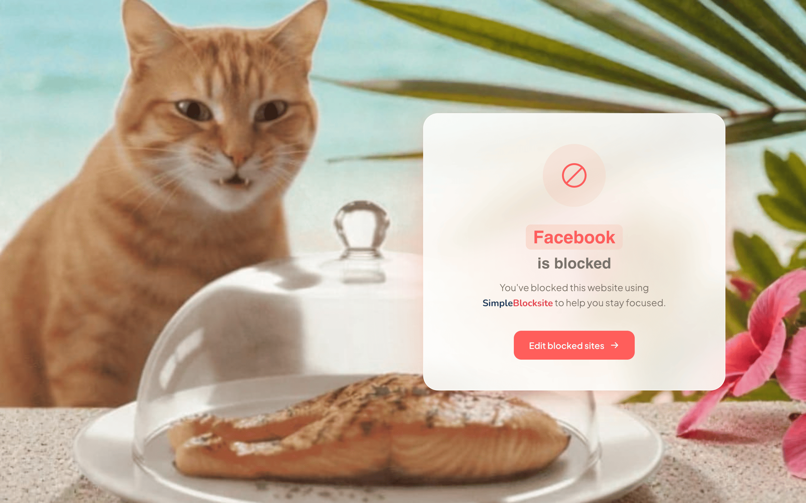 SimpleBlocksite dashboard showing Block and Daily Limit modes